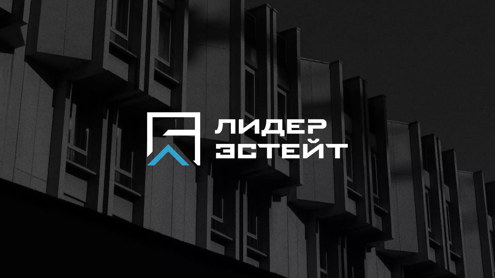 Разработка логотипа агентства недвижимости «Лидер Эстейт» в Унече